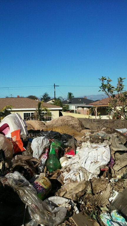 Los Angeles Country Property Preservations clean up in Compton