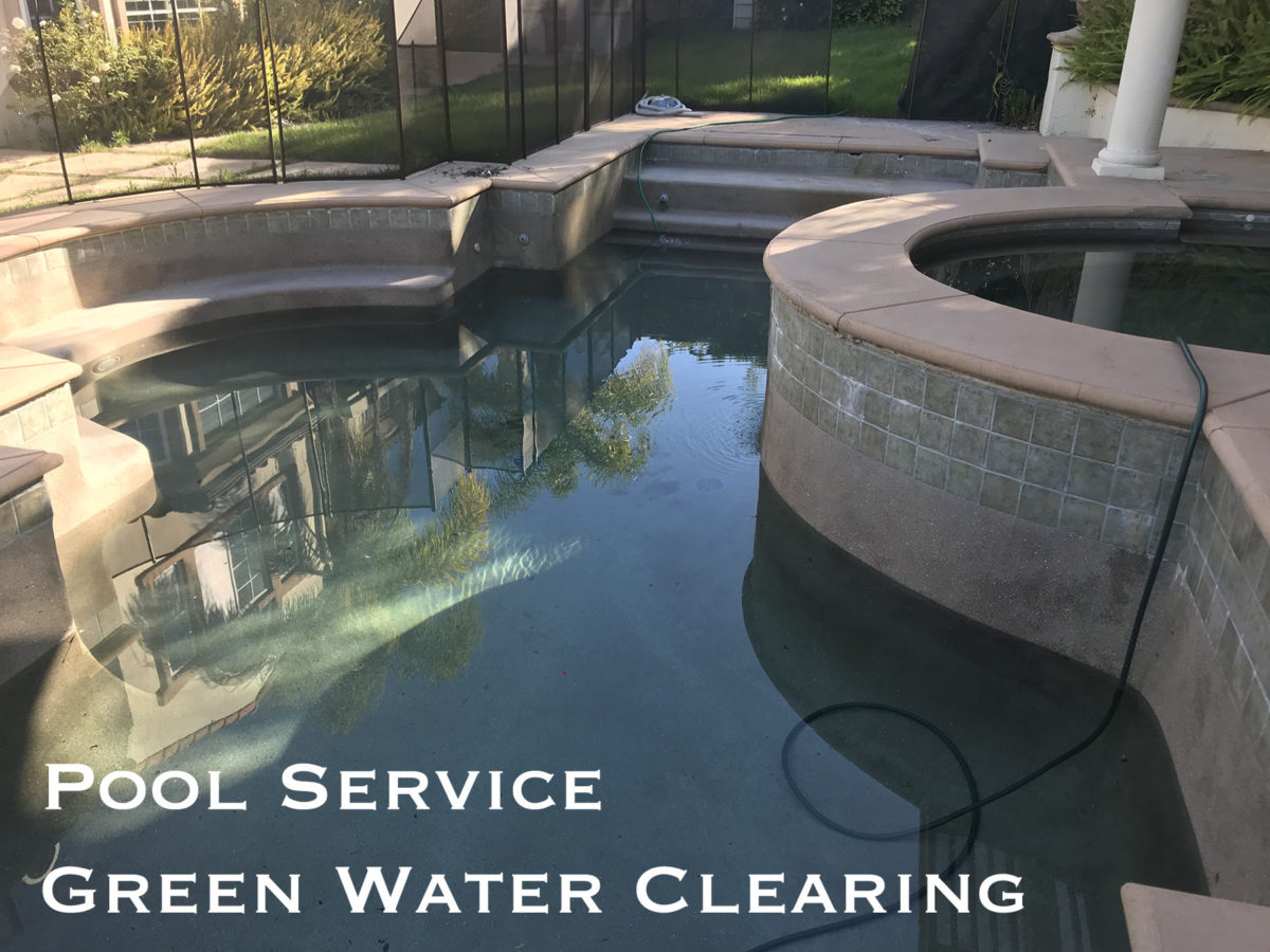 Pool Service Green Water Clearing