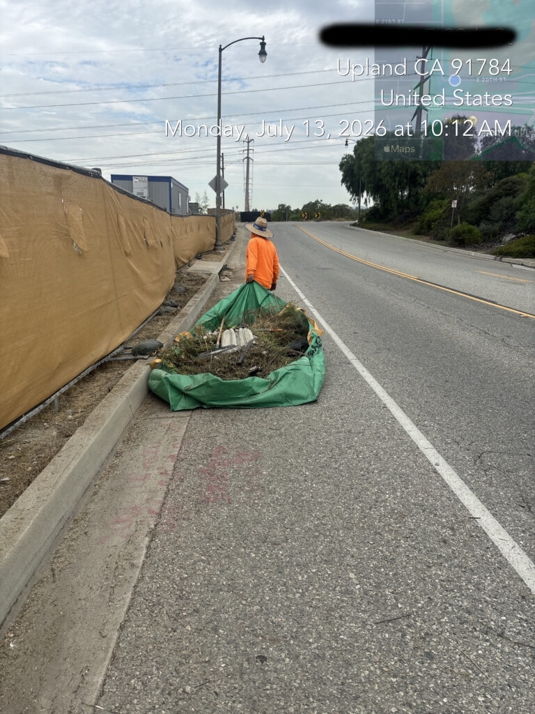 Crew member collecting weeds and debris from the parkway during a commercial code-violation cleanup.
